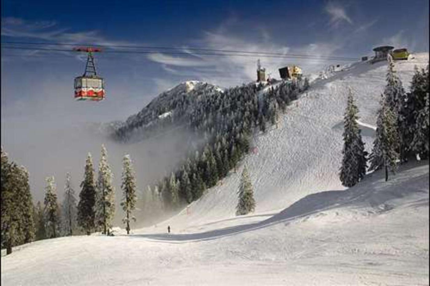 Alpin Aparthotel 2302 ポイアナ・ブラショフ エクステリア 写真